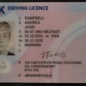 Driving licence